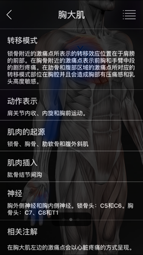 肌肉激痛点安卓中文版图集展示3
