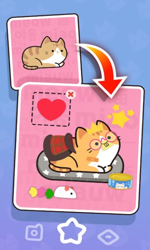 推推猫图集展示2