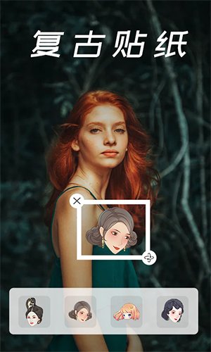 voila app