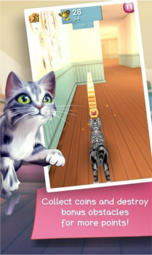 Cat Runner图片4
