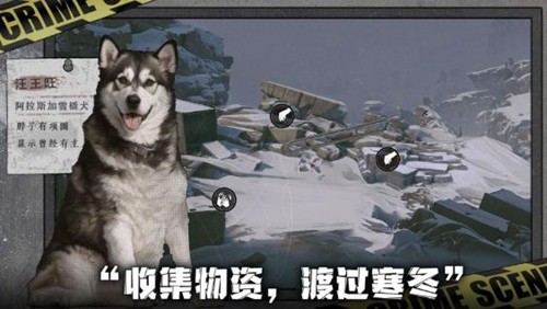 我在末日捡垃圾安卓版图集展示2