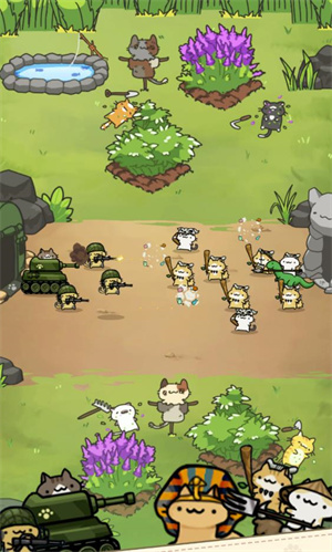 只是只小猫图片