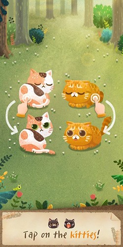 猫咪的秘密森林中文版图集展示3