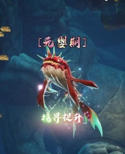 鲲也要修仙