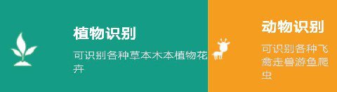万能拍照识别app软件特色