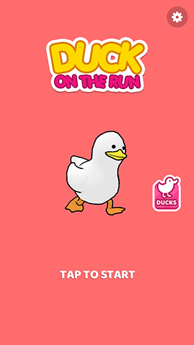 duckrun图集展示2