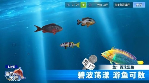 垂钓大师去广告版图集展示2