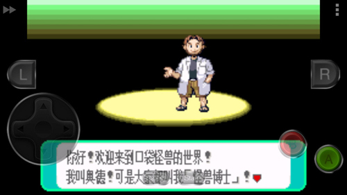 口袋妖怪绿宝石图集展示3