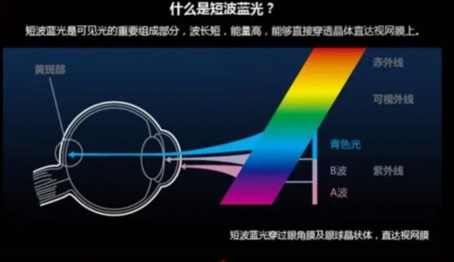 蓝光过滤器解锁付费版图片11