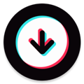 tikdownloader安卓apk