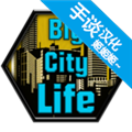 大城市的生活模